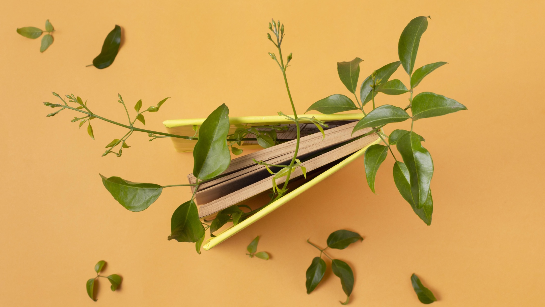 Greenwashing im Hotel vermeiden: Entwickle deine Nachhaltigkeits-Story