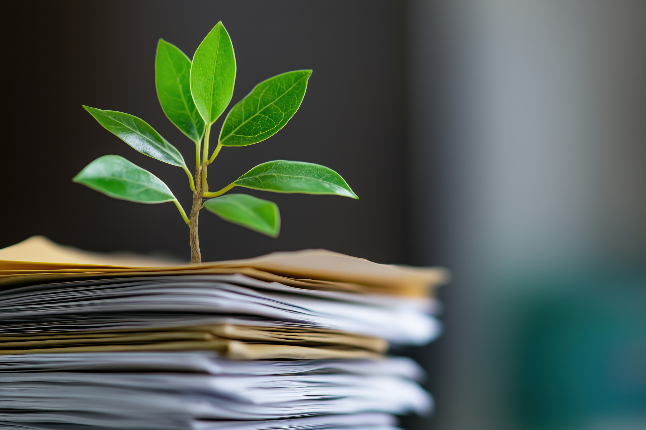 How to Write a Sustainability Report for Your Hotel