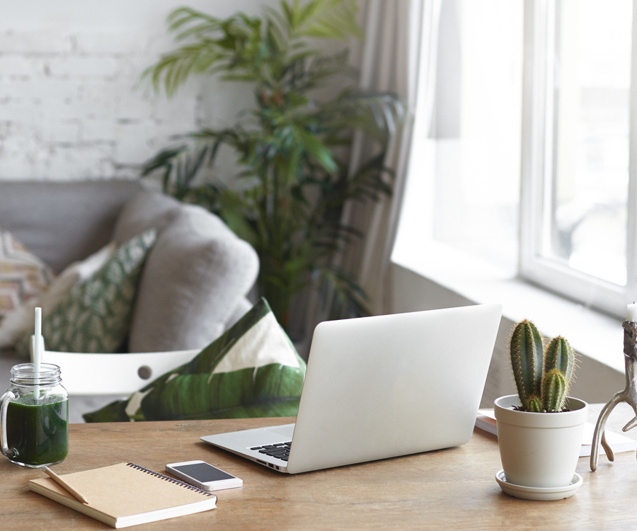 Modernes Homeoffice mit Schreibtisch, Laptop und Zimmerpflanzen