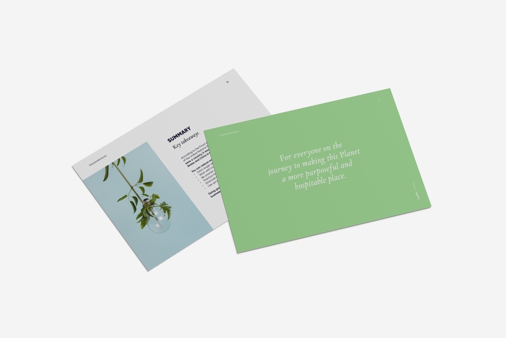 Insights: 6 ways to reduce (food) waste in your hotel NOW