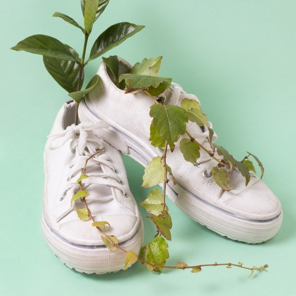 MAp Boutique Consultancy, The Sustainable Hotel, Planet