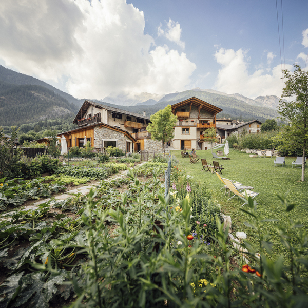 MAp Boutique Consultancy The Sustainable Hotel
