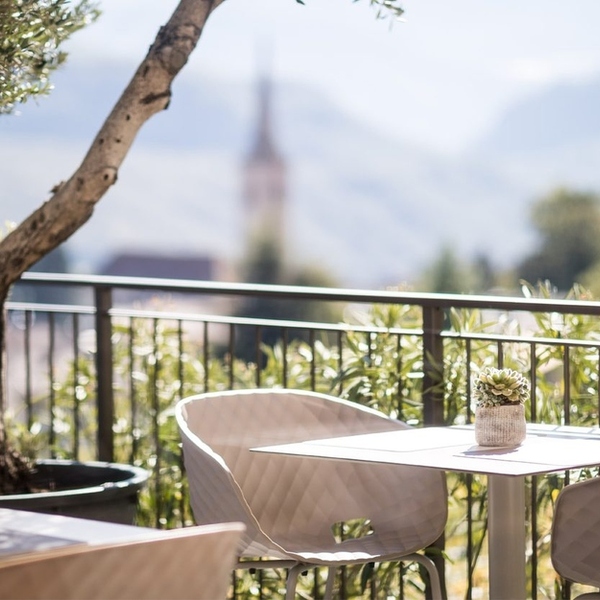 Terrace with an olive tree, a table and chairs, looking out over the vineyards at Felderer Boutiquehotel in Caldaro, South Tyrol
